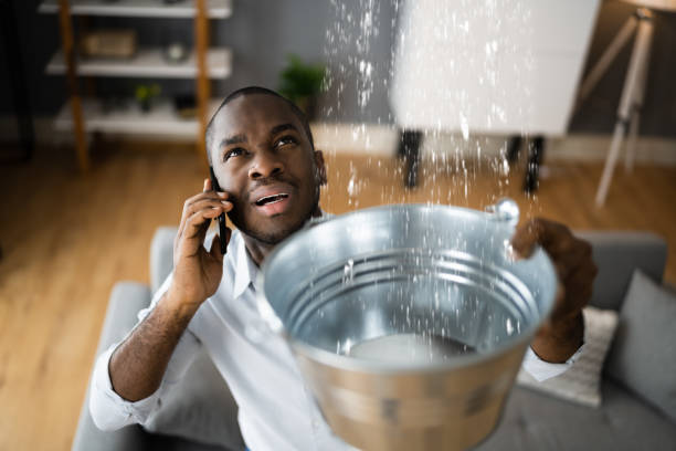 Best Residential water damage restoration  in Dowagiac, MI