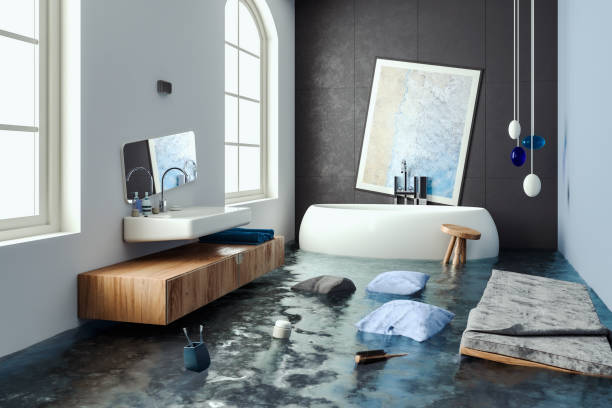 Best Carpet water damage restoration  in Dowagiac, MI
