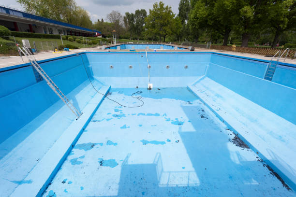 Best Flood restoration services  in Dowagiac, MI