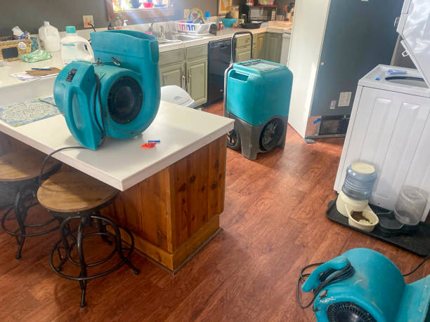 Water damage restoration mold remediation in MI