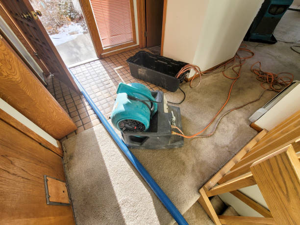 Best Water damage restoration near me  in Dowagiac, MI