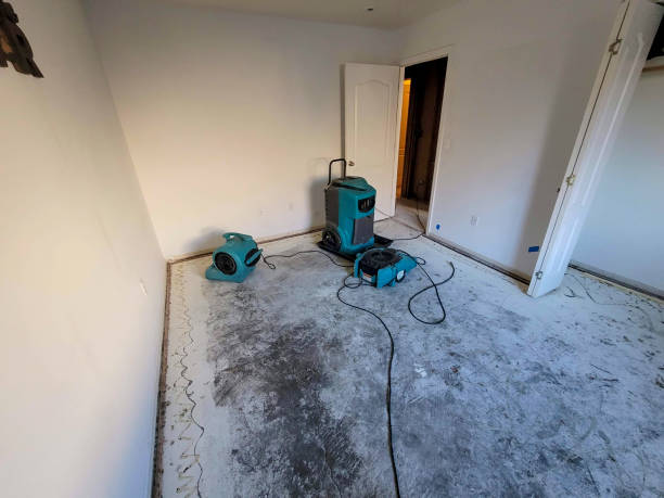 Best Professional water damage repair  in Dowagiac, MI