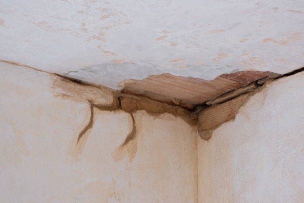  Dowagiac, MI Water damage restoration Pros