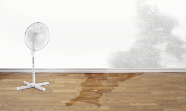 Best Commercial water damage restoration  in Dowagiac, MI
