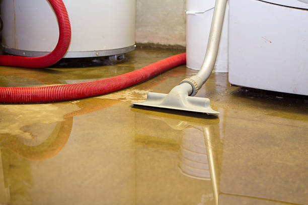 Best Commercial water damage restoration  in Dowagiac, MI