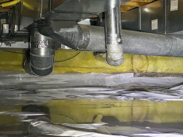 Best Residential water damage restoration  in Dowagiac, MI