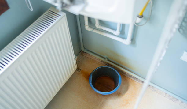 Best Professional water damage repair  in Dowagiac, MI
