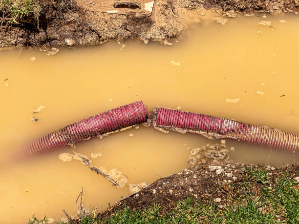 Best Sewage cleanup and water damage restoration  in Dowagiac, MI